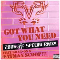 GOT WHAT YOU NEED (2006 AV8 SPECIAL REMIX) (USED)