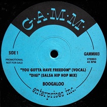 YOU GOTTA HAVE FREEDOM (USED)