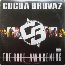 THE RUDE AWAKENING (USED)