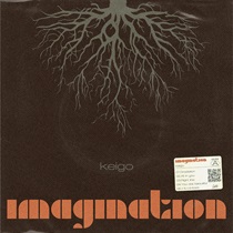 IMAGINATION / CREATION (LP)