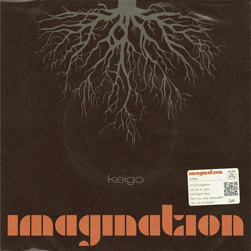 IMAGINATION / CREATION (LP)